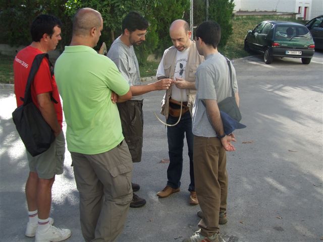 taxomara 2008 (41)